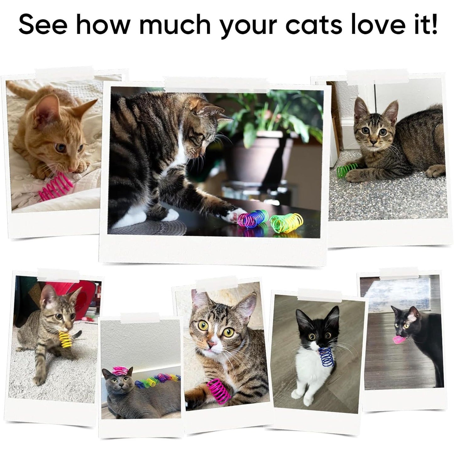 30-Pack Interactive Cat Spring Toys - Durable Colorful Plastic Spiral Springs for Indoor Cats and Kittens