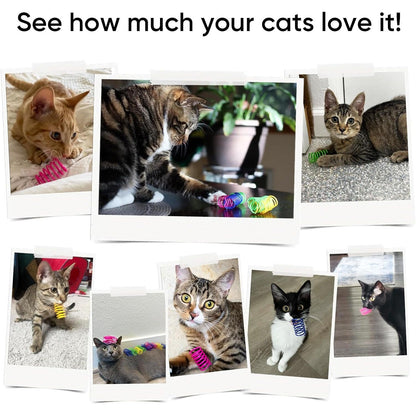30-Pack Interactive Cat Spring Toys - Durable Colorful Plastic Spiral Springs for Indoor Cats and Kittens