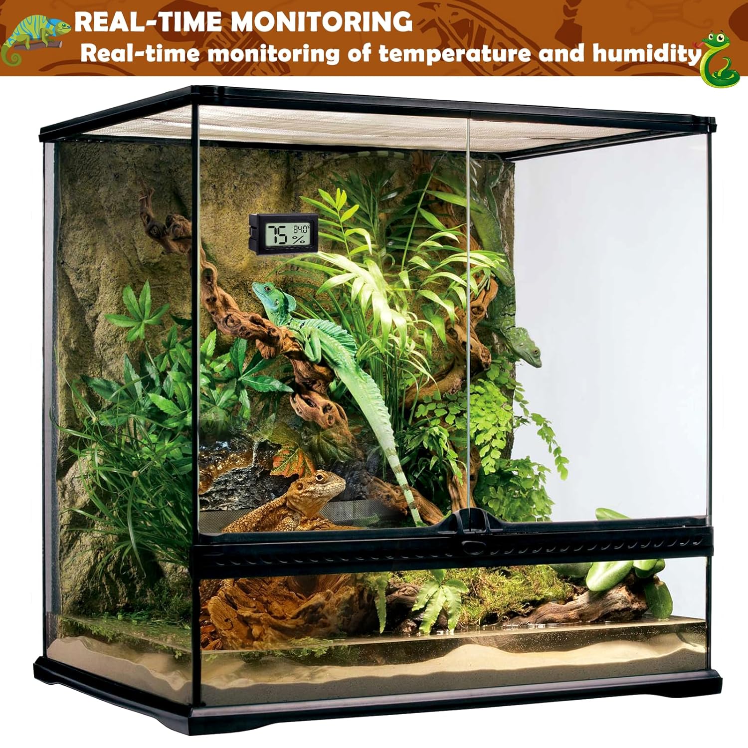 Digital Reptile Thermometer and Humidity Gauge - 2-Pack Adhesive Hygrometer for Terrariums, Ideal for Bearded Dragons, Leopards, Crested Geckos, Snakes, and Lizards