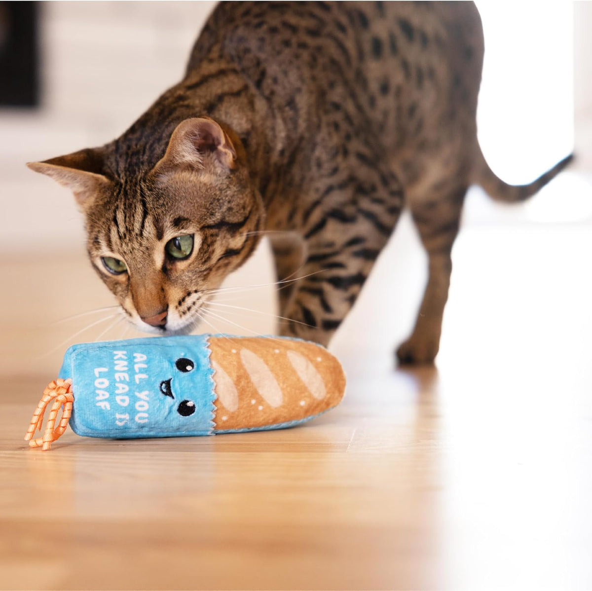 Cat toy, Loaf Kicker with Catnip and Dental Mesh, 6.5 inches