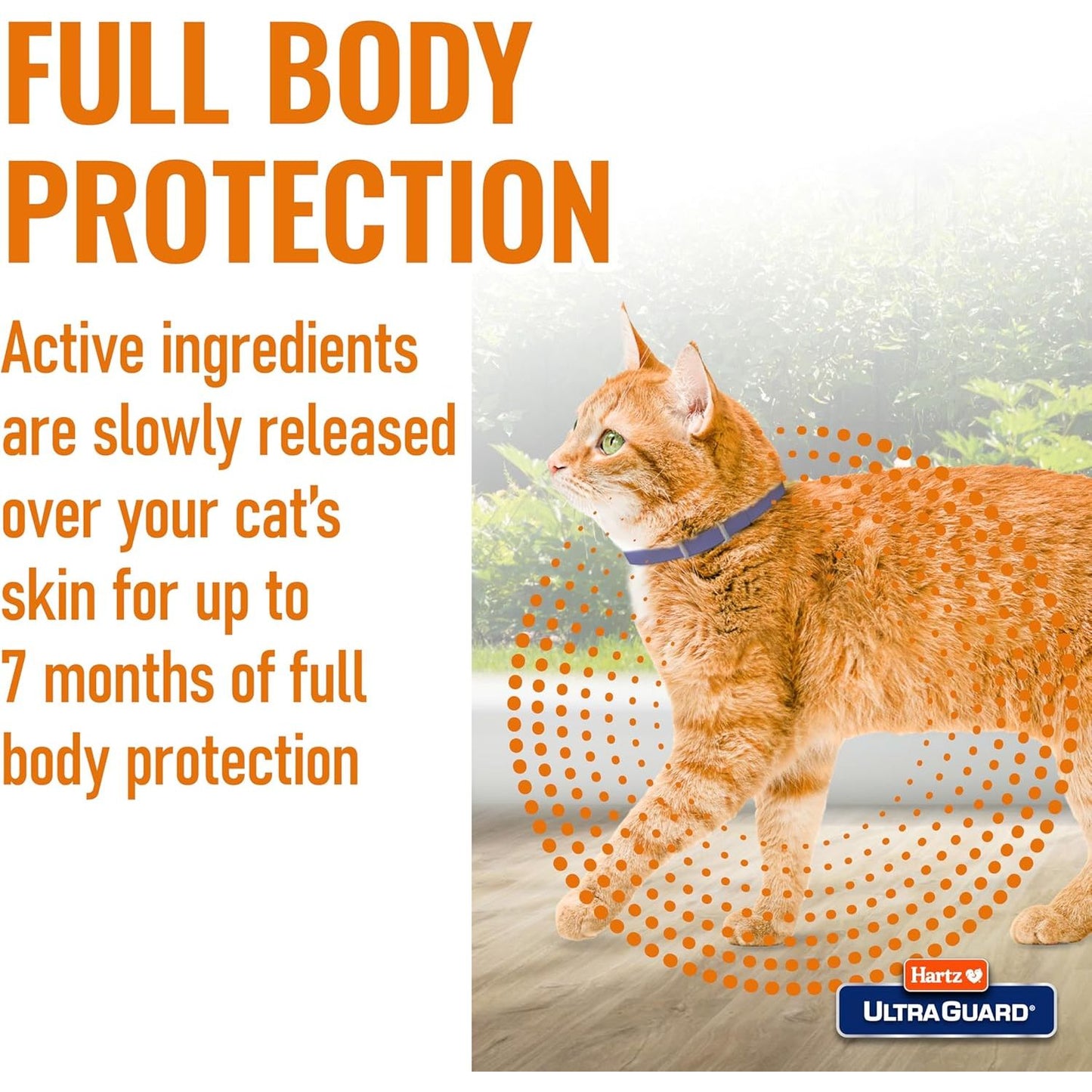 Flea and Tick Collar for Cats and Kittens - 7 Months of Protection, Purple