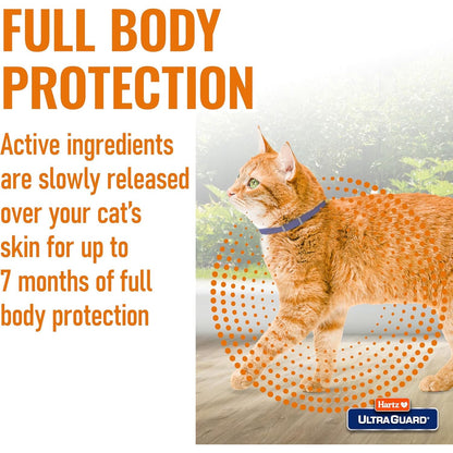 Flea and Tick Collar for Cats and Kittens - 7 Months of Protection, Purple
