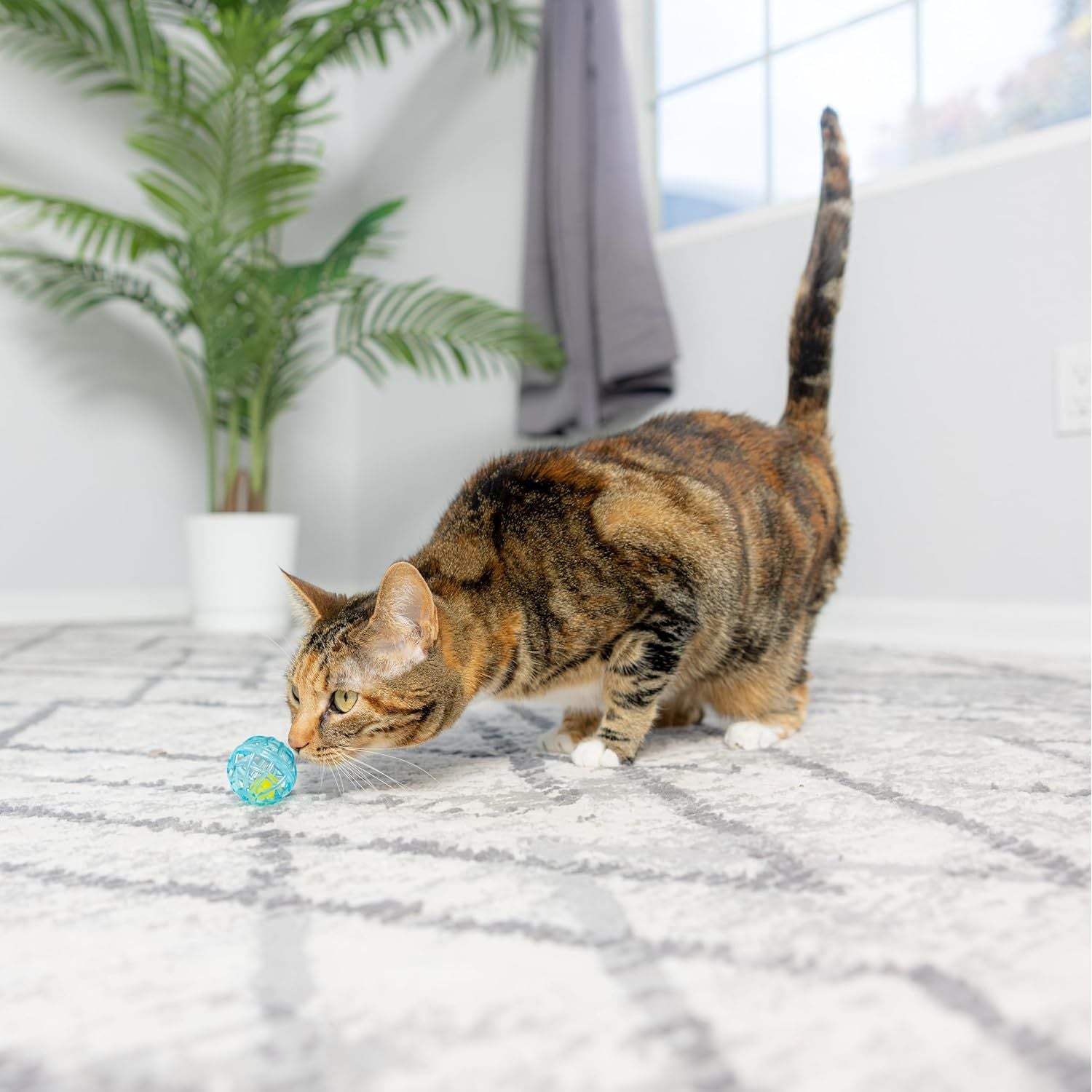 Durable, Fun Balls with Bells Perfect for Swatting and Batting, Colorful Toys to Entertain Indoor Cats and Kittens, - 1.5 Inch, 4 Pcs