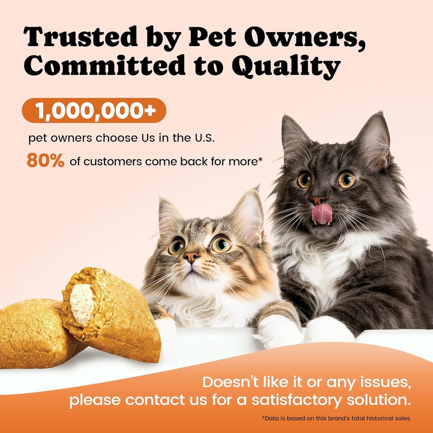 Cat Multivitamin Supplement with L-Lysine and Taurine – 12 Essential Vitamins and 5 Minerals for Immune, Joint, and Skin Support – 450 Chews