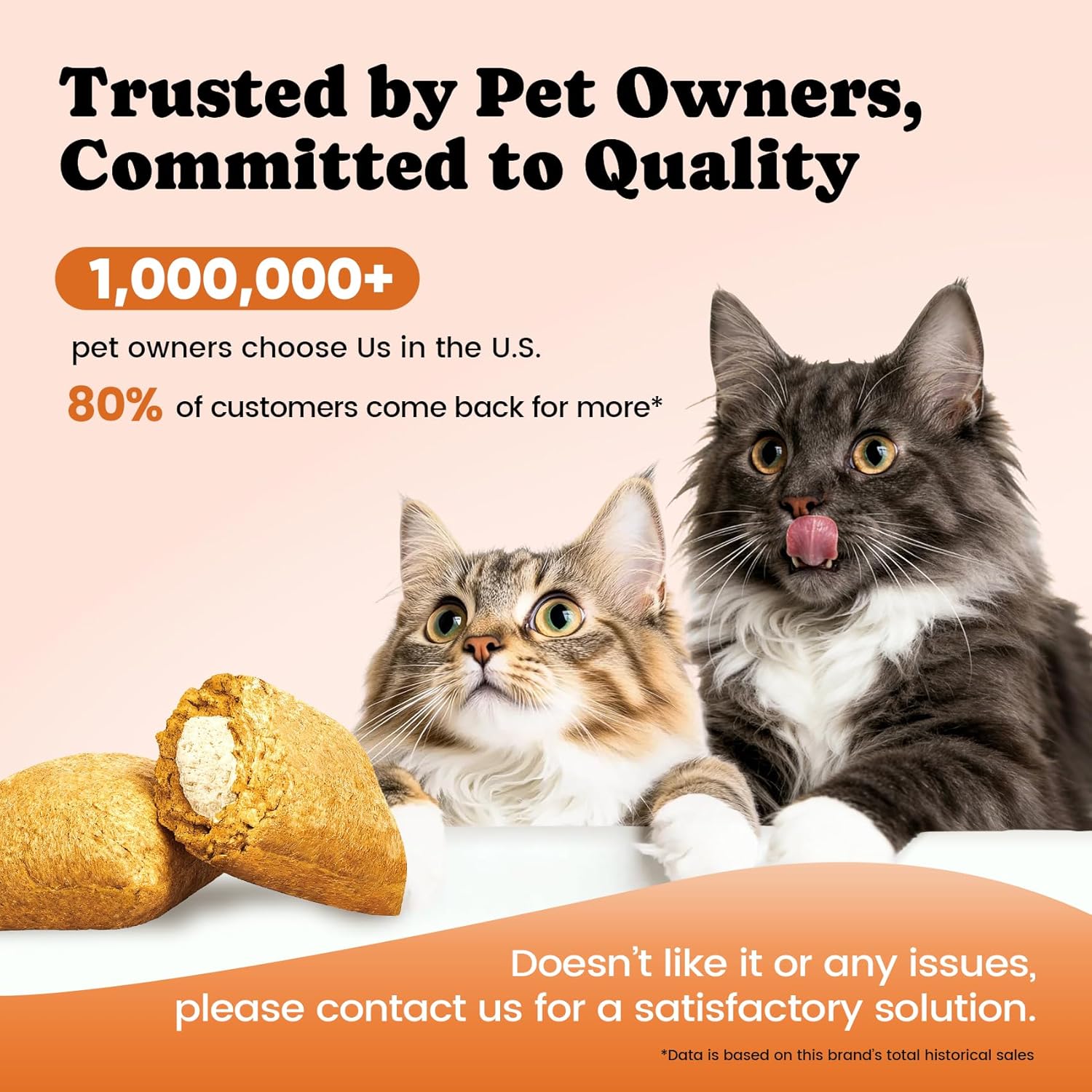Cat Multivitamin Supplement with L-Lysine and Taurine – 12 Essential Vitamins and 5 Minerals for Immune, Joint, and Skin Support – 450 Chews