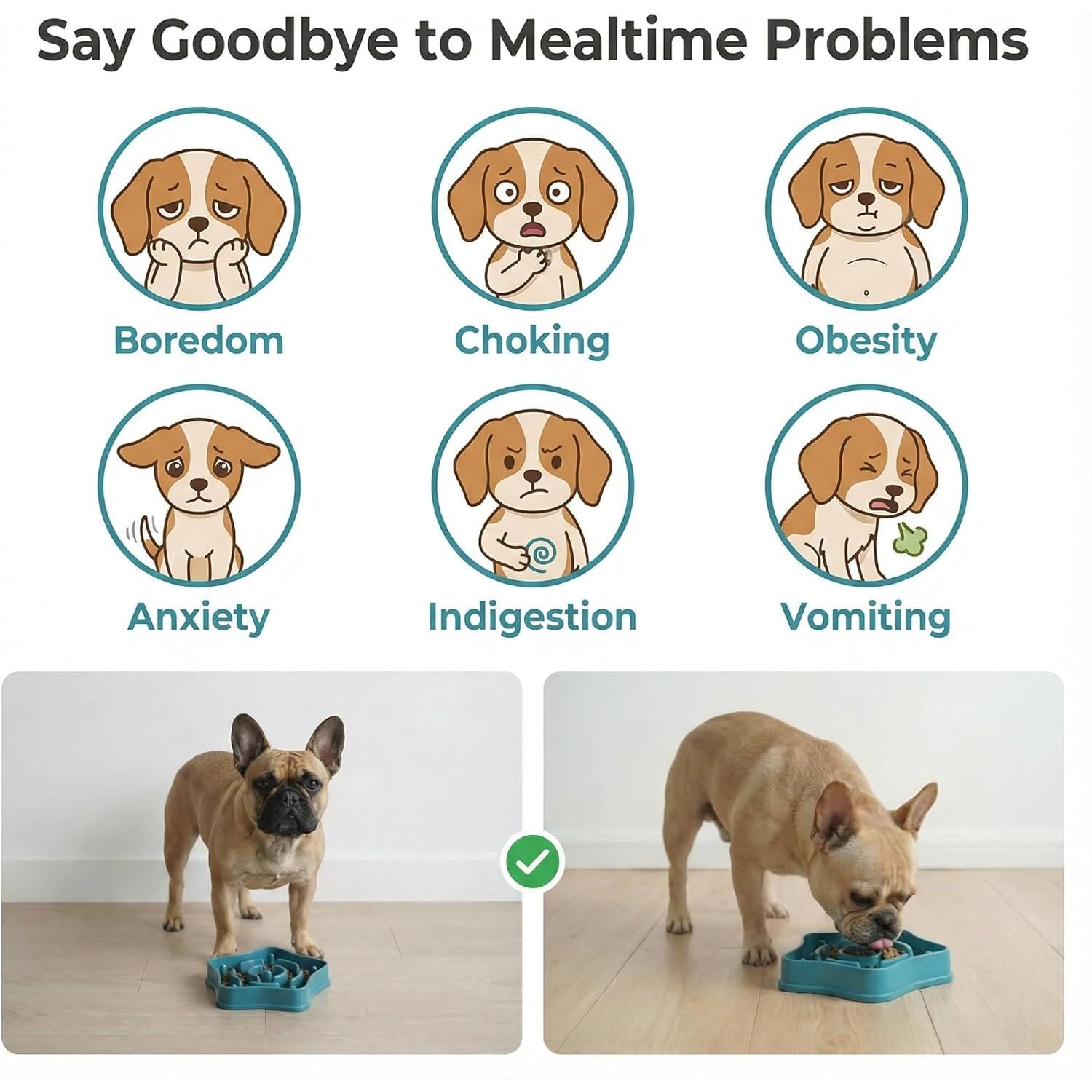 Pet Slow Feeder Bowl for Small Dogs 