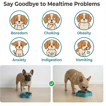 Pet Slow Feeder Bowl for Small Dogs 