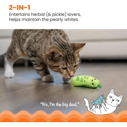 Catstages Crunchy Pickle Kicker Cat Toy - Plush Crinkle Toy with Catnip and Dental Mesh for Feline Health and Happiness, 6.5 inches