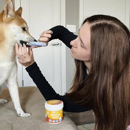 Dog & Cat Teeth Cleaning Wipes - Dental Finger Wipes for Cats & Dogs - Pet Toothbrush & Tooth Brushing Kit - Effective Teeth Cleaner 
