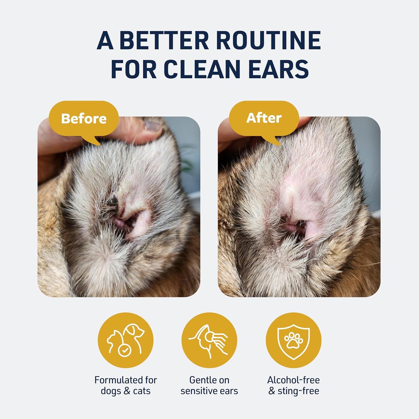  Ear Cleaner for Cats and Dogs to Alleviate Itchiness and Remove Debris and Buildup to Prevent Infections