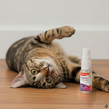Smartykat Catnip Mist Catnip-Infused Cat Attractant Spray, Stimulating Positive Training Aid for Cats & Kittens, Trial Size