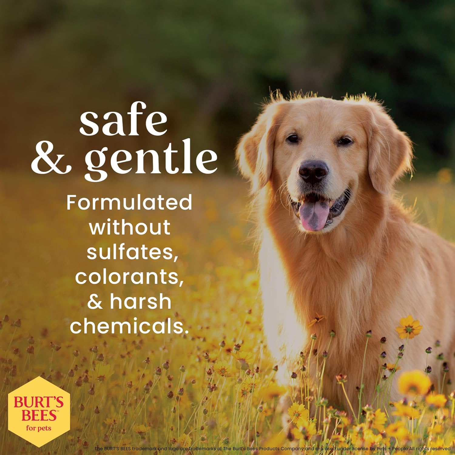 Natural Dog Detangling and Deodorizing Spray, pH Balanced, Paraben and Sulfate Free, 10 Fl Oz