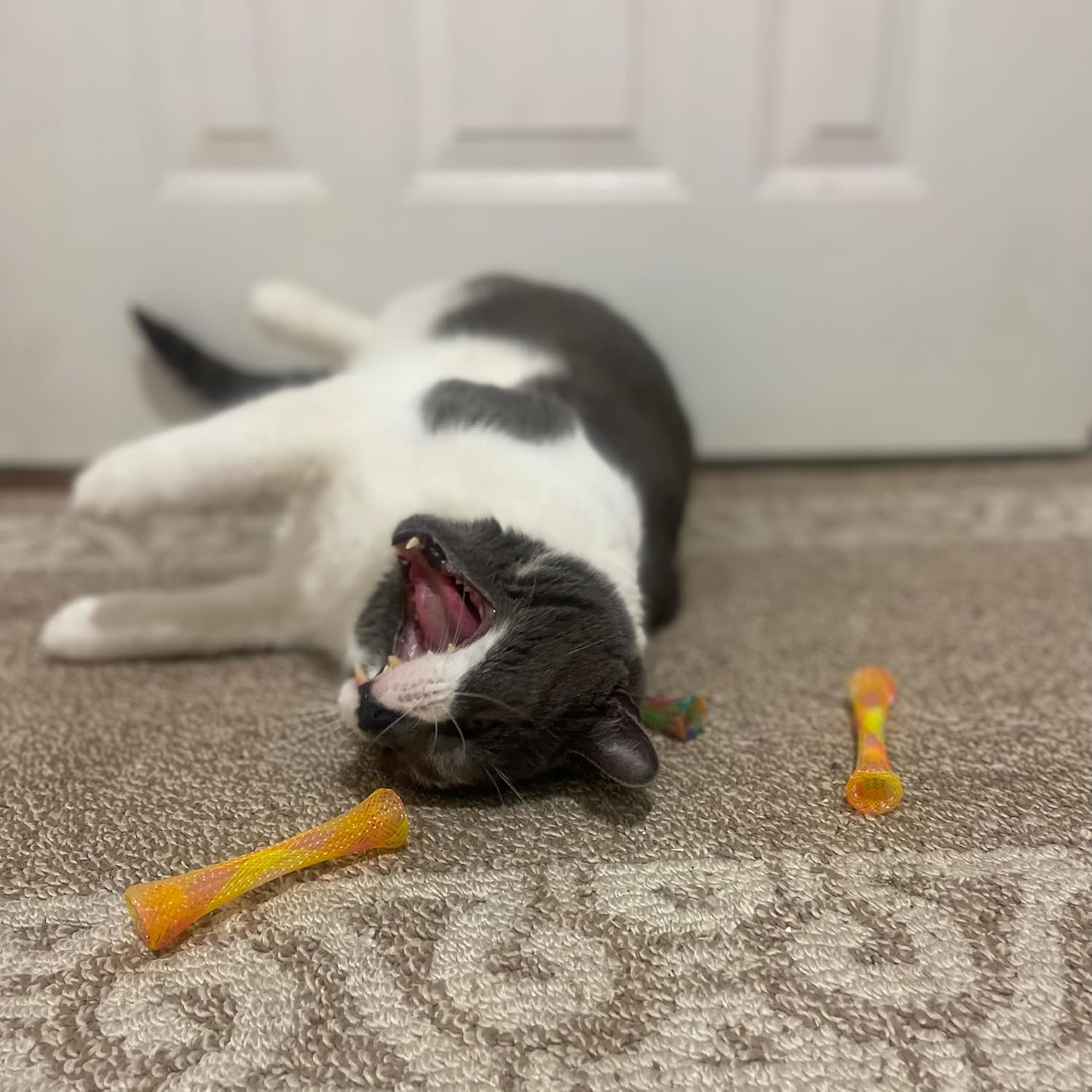 Kitty Fun Tubes Interactive Cat Toy Set | Bouncy Catnip-Infused Toys for Cats and Kittens | Pack of 3