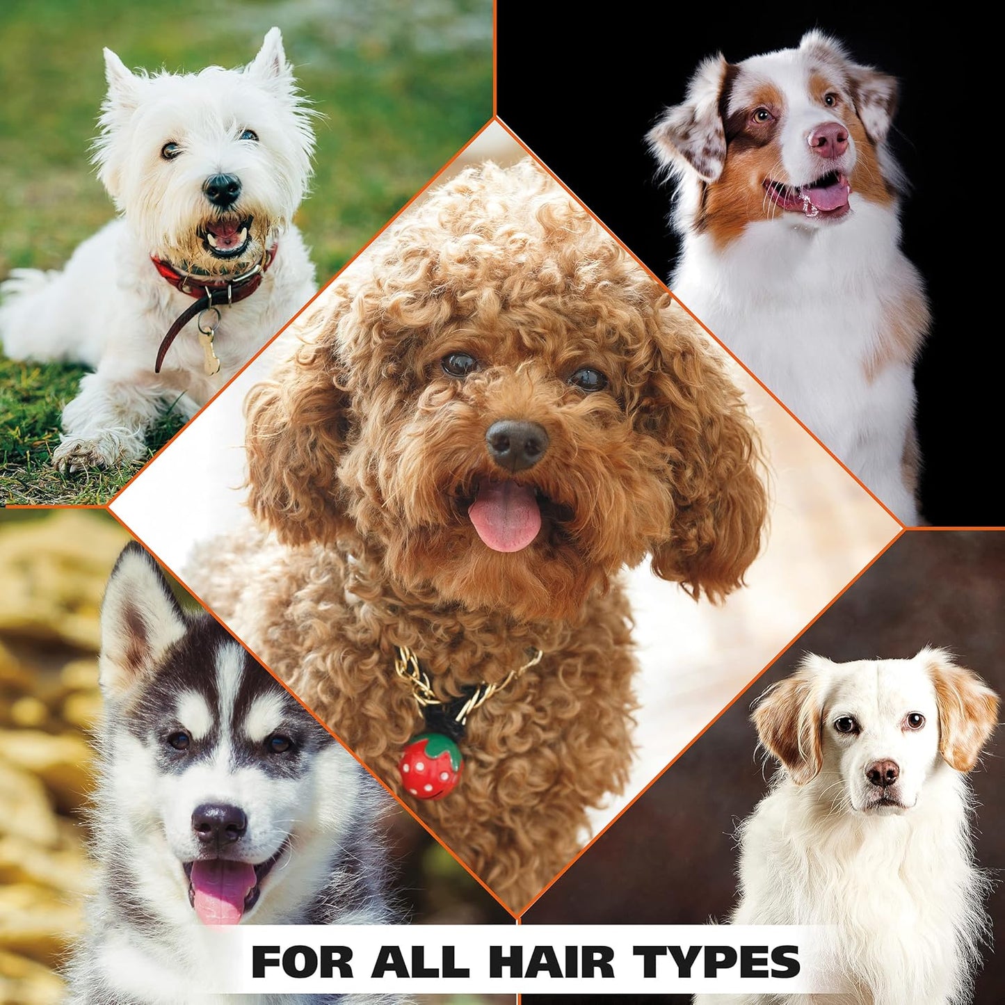 Flea and Tick Repellent Dog Shampoo - Defense Formula with Rosemary and Cedar Scent - 24 oz 