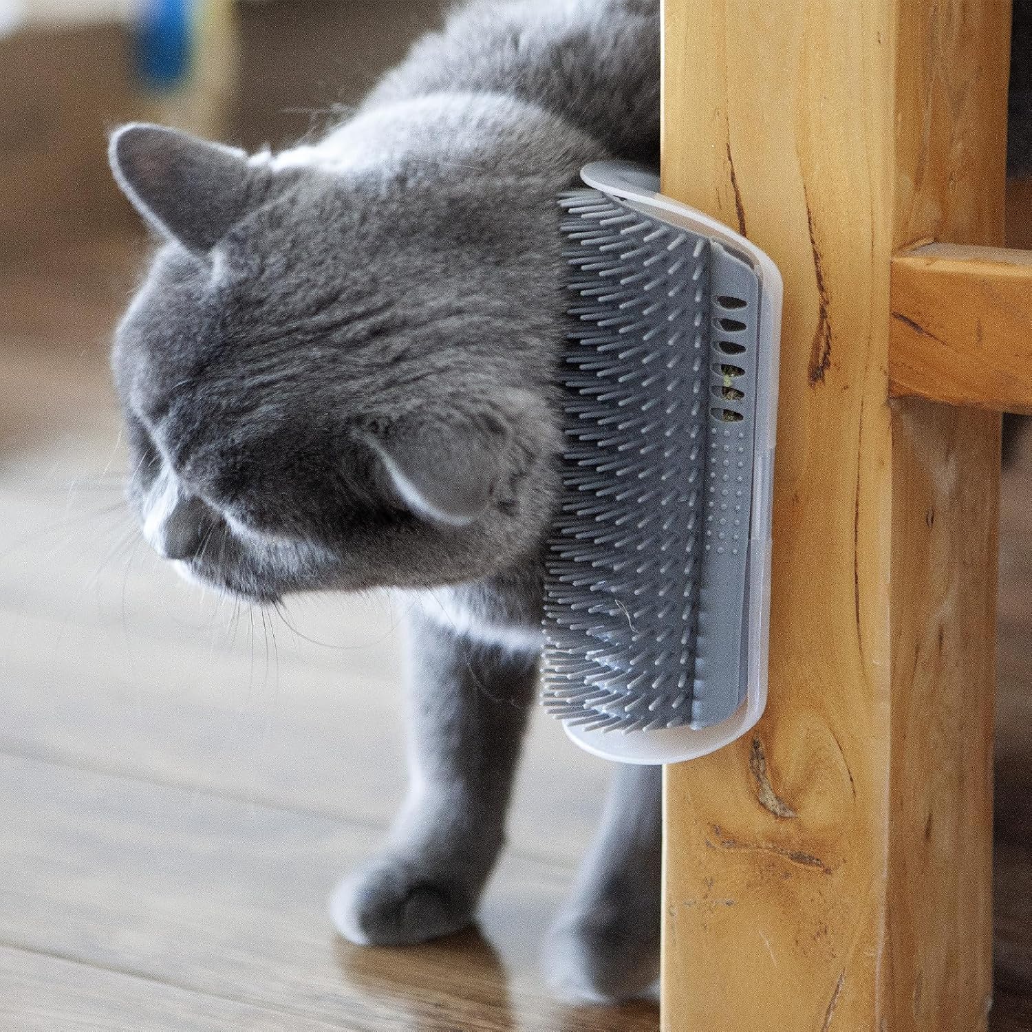 2-Pack Extended Self-Grooming Cat Brush
