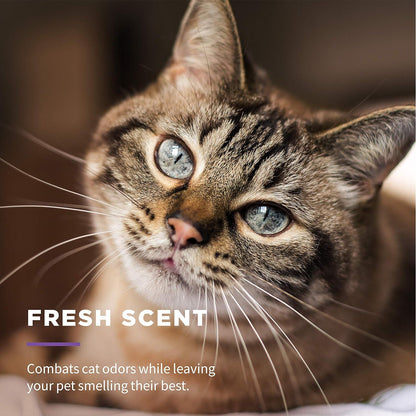Multi-Purpose Cat Grooming Wipes with Aloe Vera 