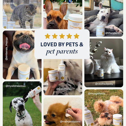  Ear Cleaner for Cats and Dogs to Alleviate Itchiness and Remove Debris and Buildup to Prevent Infections