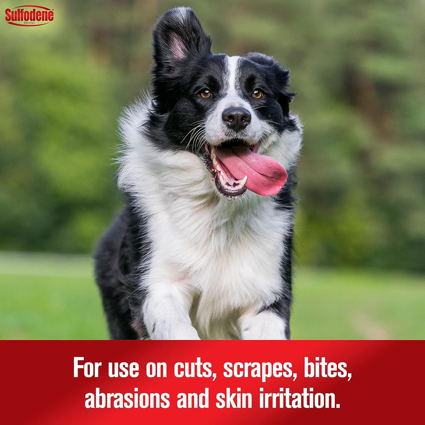 Sulfodene Dog Wound Care 3-Way Ointment, Relieves Pain & Prevents Infection for Dog Cuts, Scrapes, Bites and Injuries, 2 Ounce