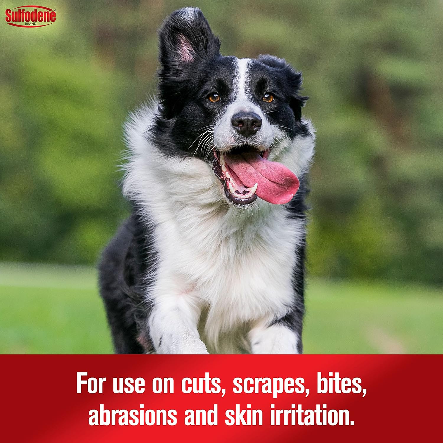 Sulfodene Dog Wound Care 3-Way Ointment, Relieves Pain & Prevents Infection for Dog Cuts, Scrapes, Bites and Injuries, 2 Ounce