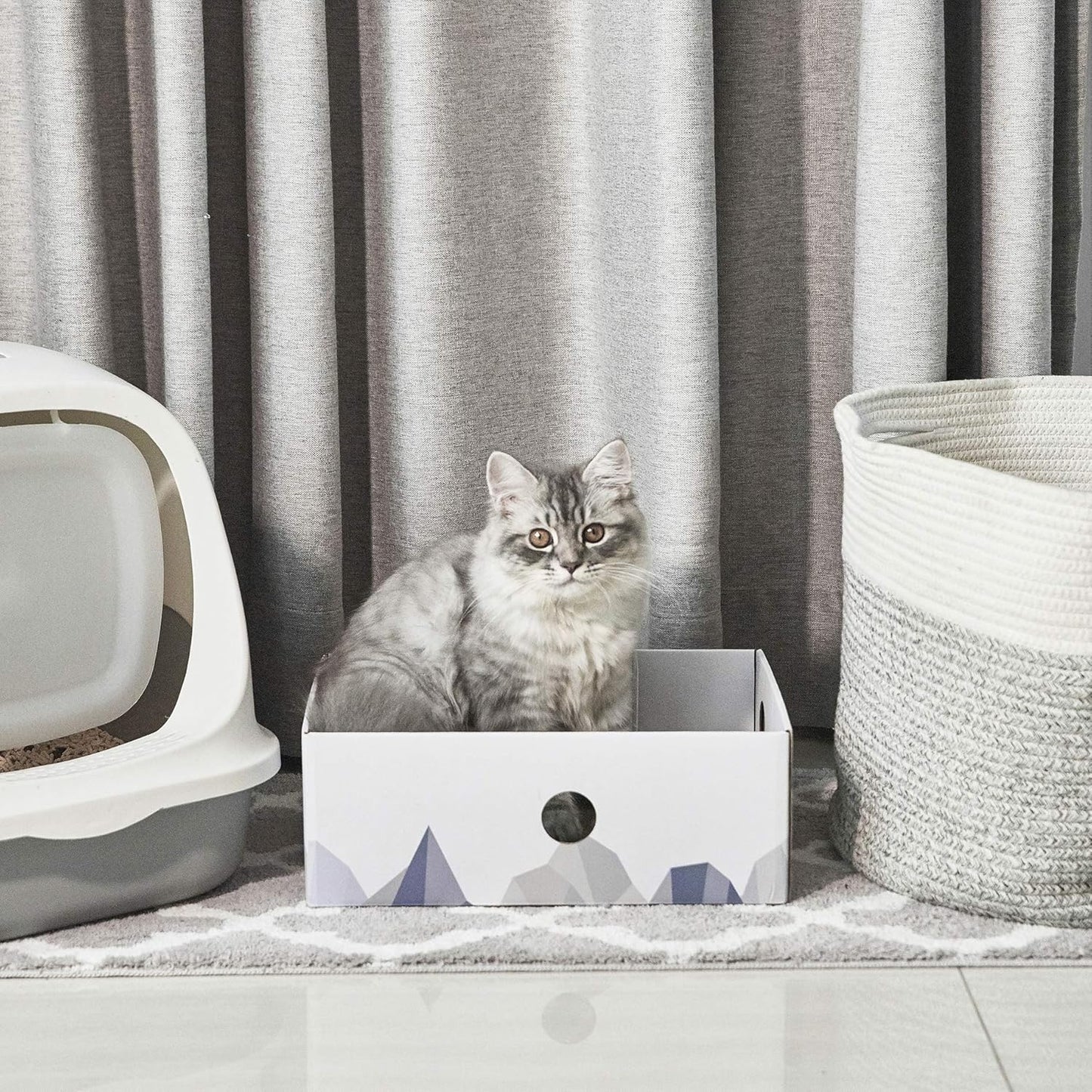 Heavy-Duty Double-Sided Cardboard Cat Scratcher Box and Lounger with Interactive Hole Design, Large Indoor Cat Bed
