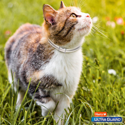 Flea & Tick Collar for Cats and Kittens, 7 Month Flea and Tick Prevention and Protection