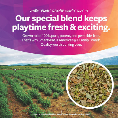 Exciting SmartyKat Skitter Critters Catnip Cat Toy Set - 10 Irresistible Plush Mice for Endless Feline Fun!