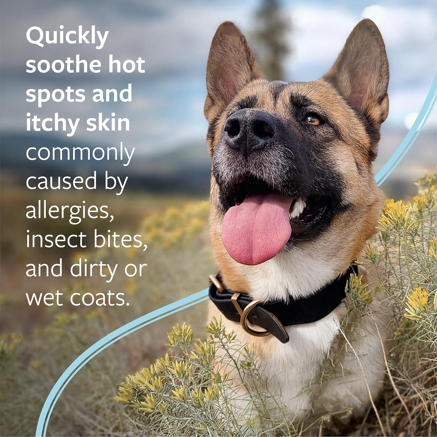 Veterinary Formula Clinical Care Medicated Spray for Hot Spot & Itch Relief - 8 Oz Spray for Dogs & Cats - Soothes Sensitive Skin & Reduces Scratching & Licking