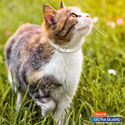 Hartz Ultraguard Flea and Tick Collar for Cats and Kittens - 7 Months of Protection and Prevention, White