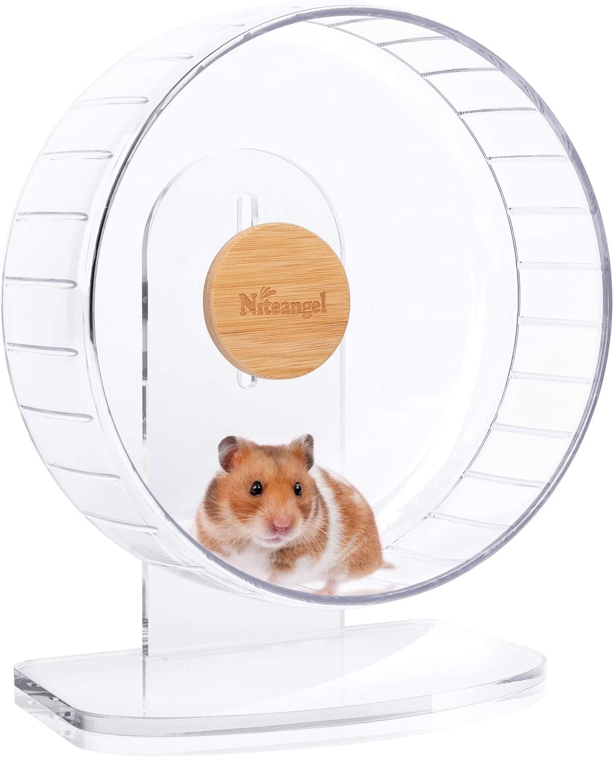 Silent Spinner Hamster Wheel – Adjustable Stand, Transparent (Medium) for Hamsters, Gerbils & Mice