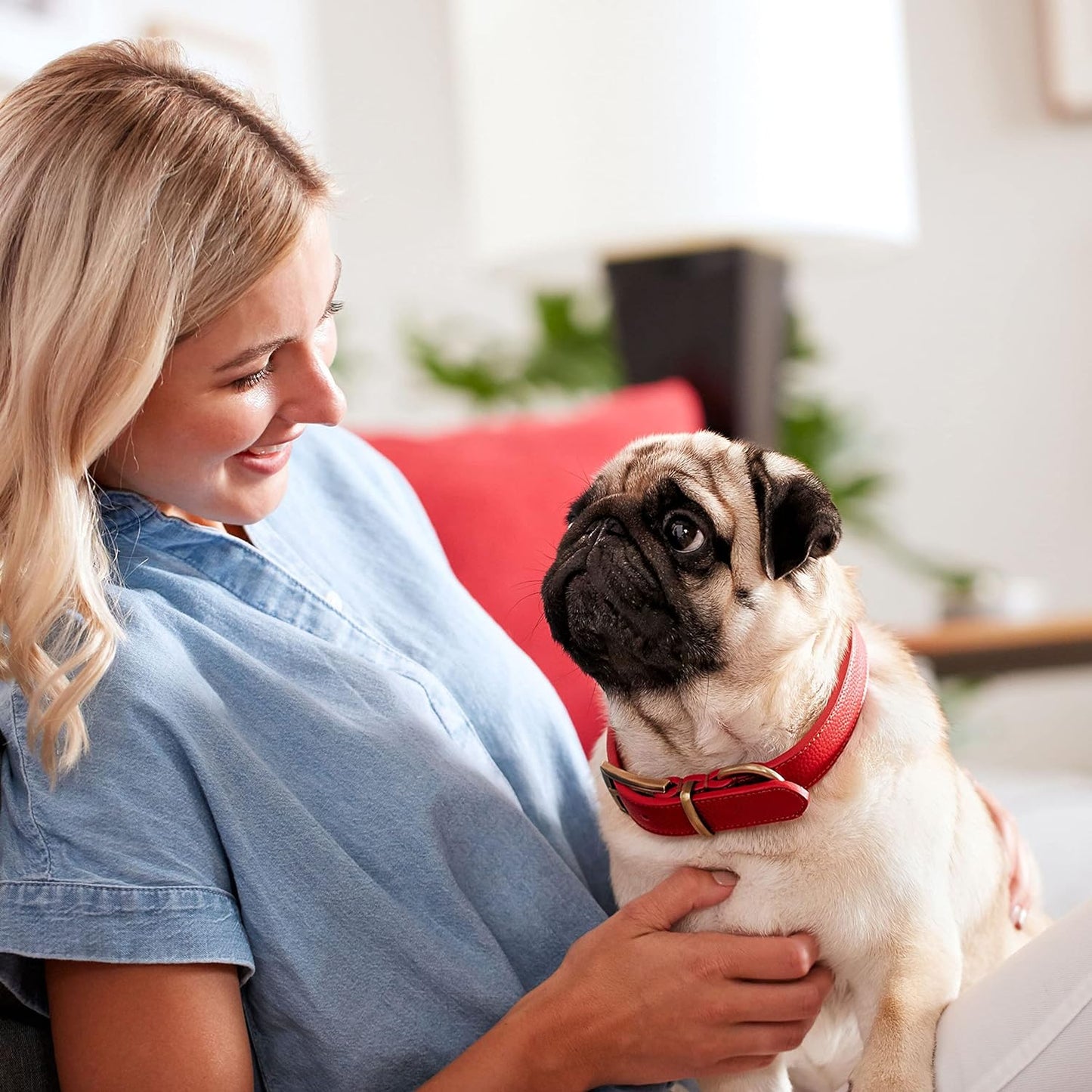 Chews Gnawbones Rawhide Free Dog Treats, Peanut Butter & Chicken, 8 Long Lasting Mini Knotted Bones (Pack of 4)