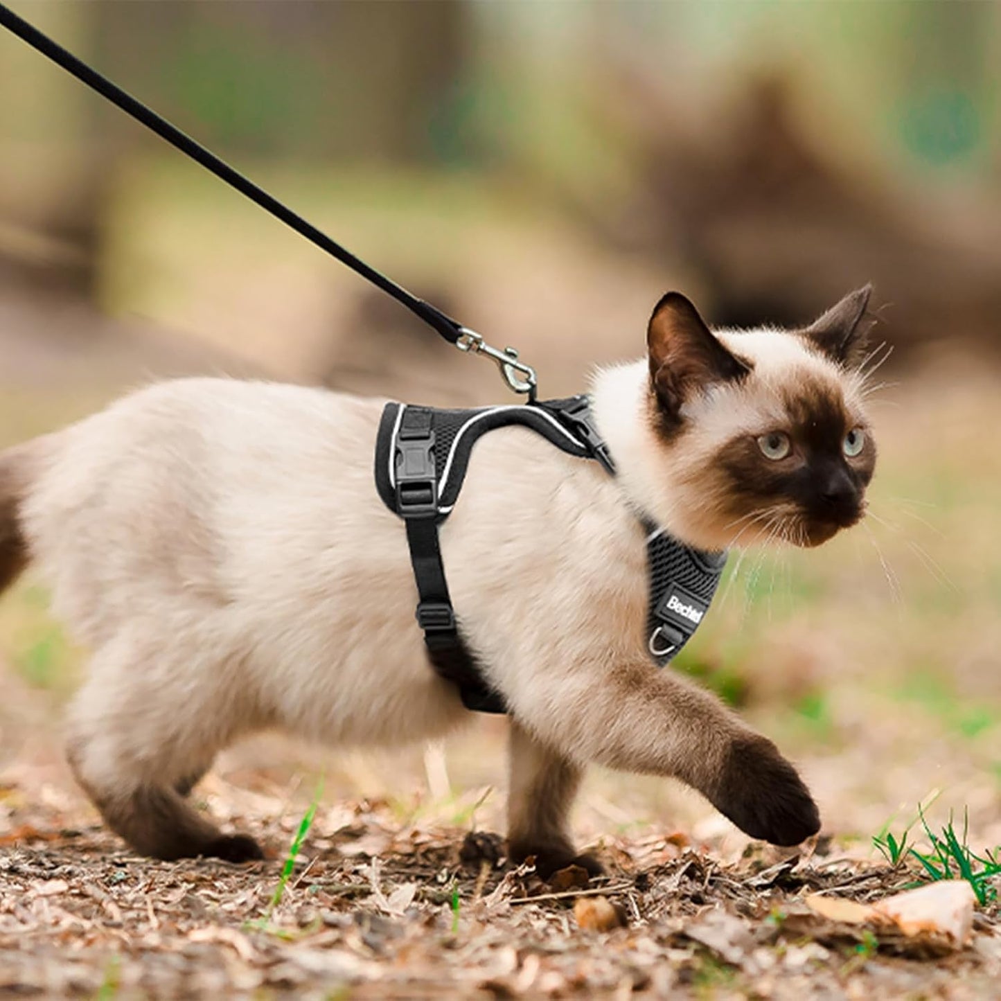 Adjustable Cat Harness and Leash for Walking, Breathable Anti-Escape Design with Reflective Strips, Black, Medium
