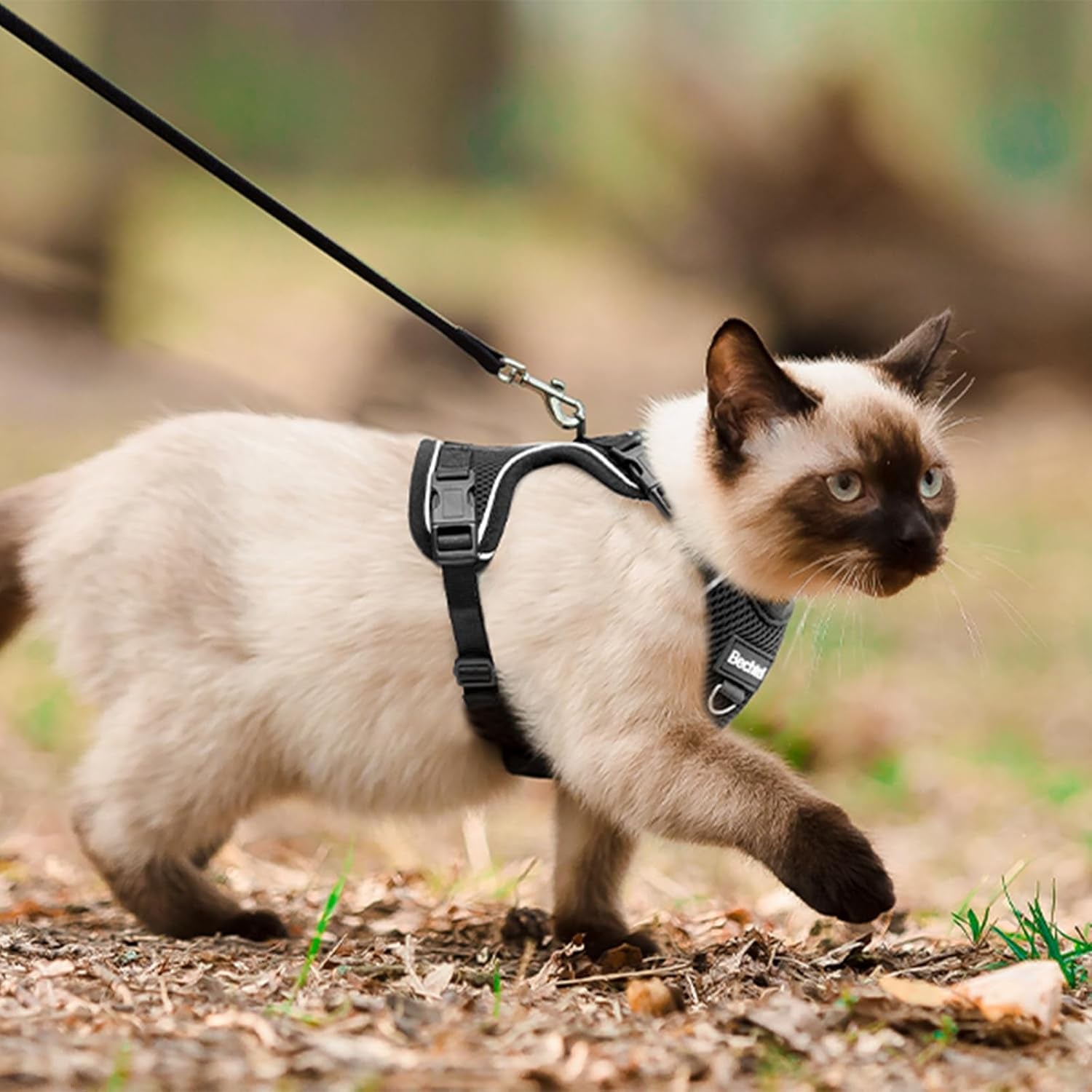 Adjustable Cat Harness and Leash for Walking, Breathable Anti-Escape Design with Reflective Strips, Black, Medium