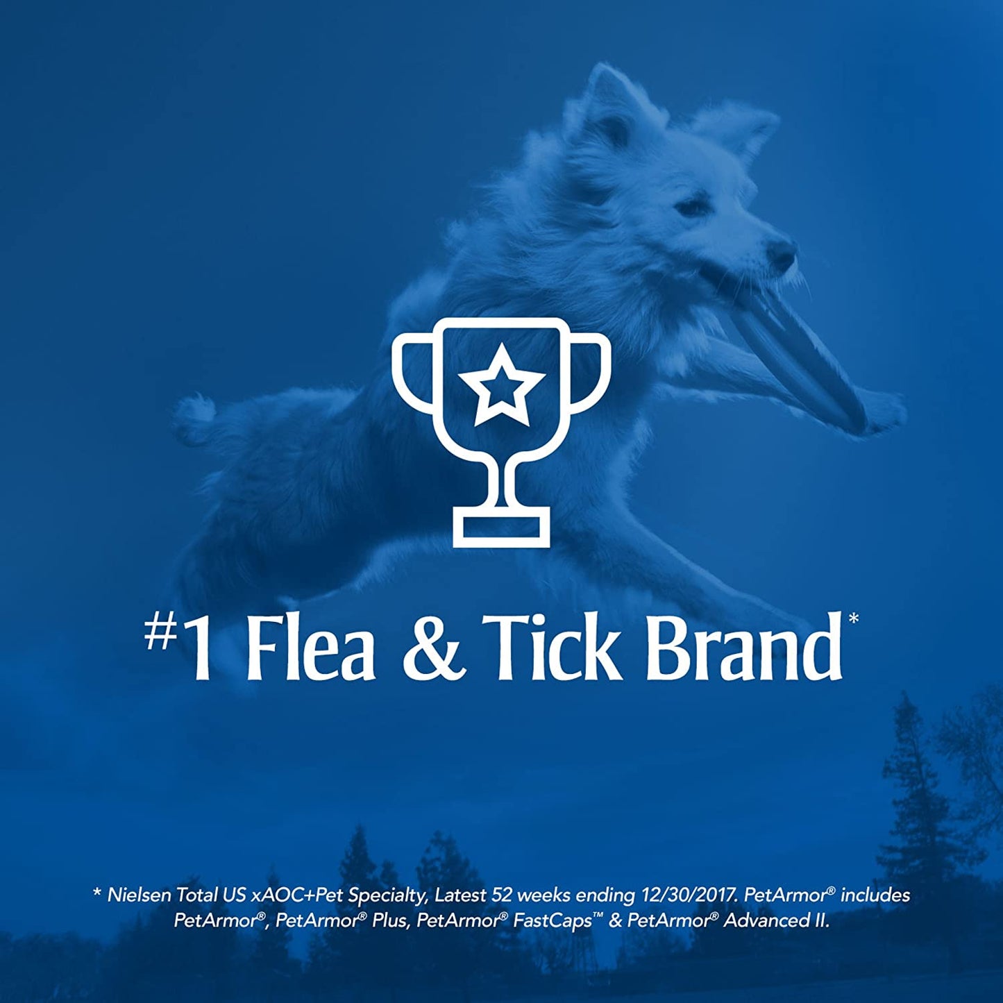 Home Carpet Powder for Flea and Tick Control, 16 Ounce - Protects and Deodorizes Carpets