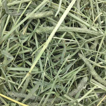 Animal Health Western Timothy Hay, Guinea Pig Hay, Small Pet Bunny Supplies, All Natural Grass for Guinea Pig, Bunny, Chinchilla & Hamster,  Rabbit Supplies for Bunnies, 90 Oz. Bag