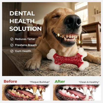 Kseroo Durable Dog Chew Toys for Aggressive Chewers: Beef-Flavored Hard Nylon Bone for Large and Medium Breeds (20-80 lbs), Red