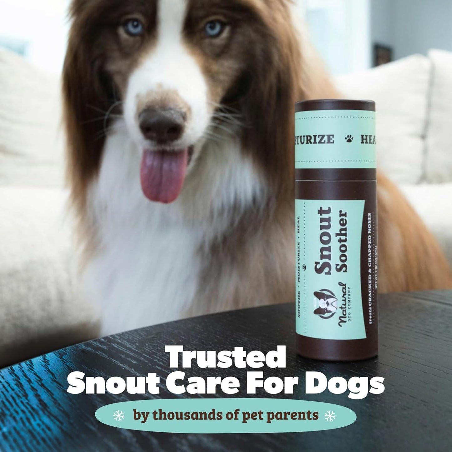 Moisturizing Dog Nose Care for Dry, Cracked Snouts with Coconut Oil & Shea Butter, Lick Safe Formula for All Breeds, 0.15 Oz Stick